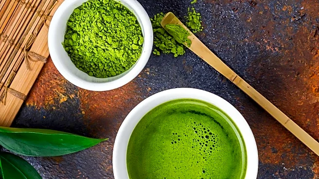 Matcha Green Tea Powder Shows Potential in Reducing Allergic Symptoms in Mice