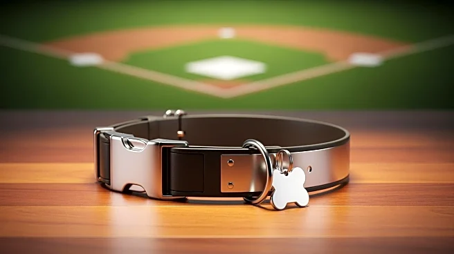 Washington Nationals Introduce New Team Dog, Fans to Vote on Name