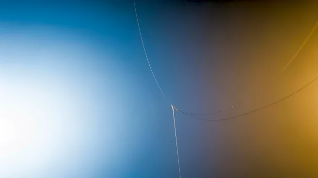 Balenciaga Introduces Bioengineered Spider Silk in Fashion Line