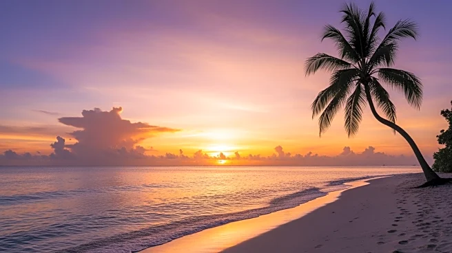 Hulu's 'Paradise' Renewed for Third and Final Season