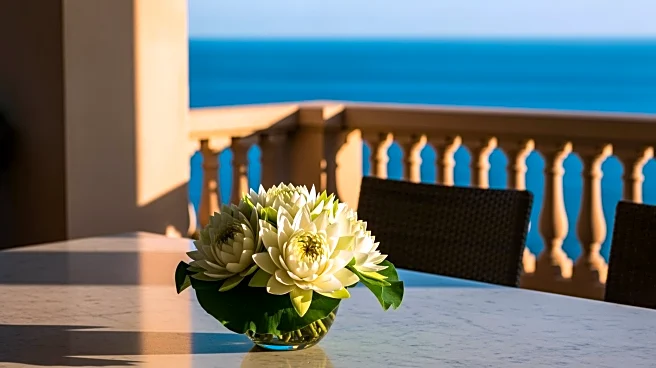 HBO's 'The White Lotus' Season 4 Expands Cast with Notable Additions for French Setting