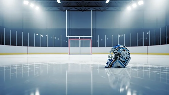 Buffalo Sabres Secure Victory Over Vegas Golden Knights with Luukkonen's Shutout