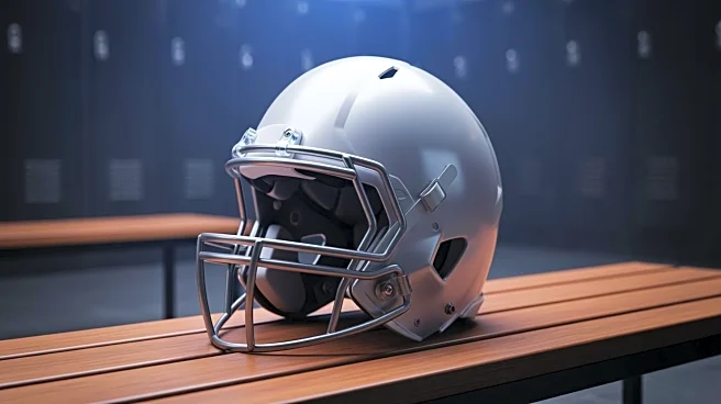 Indianapolis Colts Sign Carson Towt for Tight End Depth