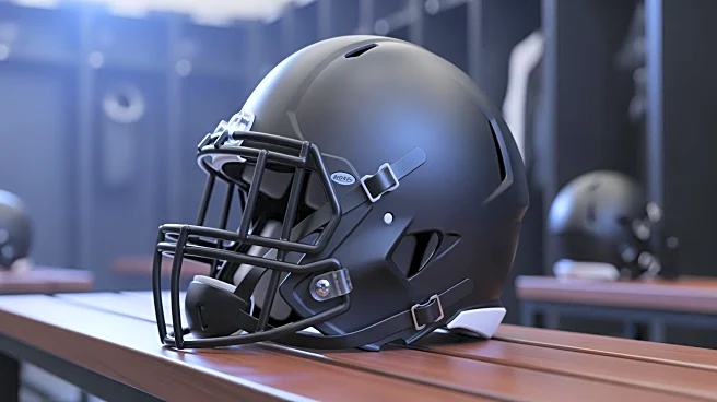 Chicago Bears Sign Defensive Lineman James Lynch to Bolster Defense