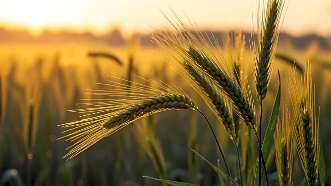 MarketBeat Identifies Top Agriculture Stocks Amid Market Volatility