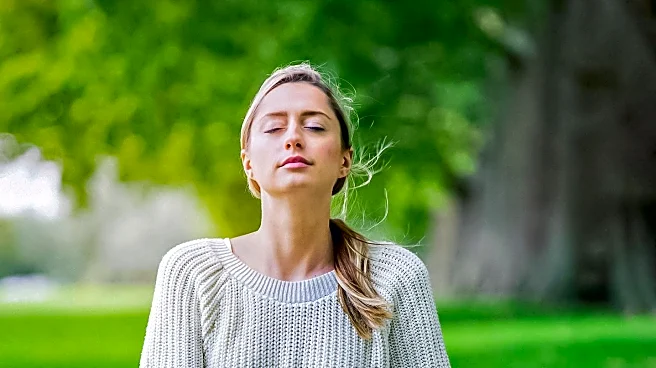 UTA Counseling Offers Self-Energy Workshops to Enhance Mental Well-being