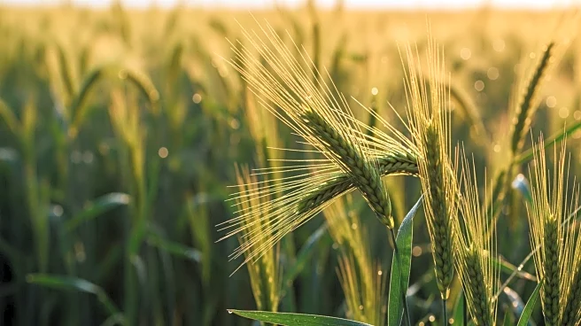 MarketBeat Highlights Top Agriculture Stocks to Watch