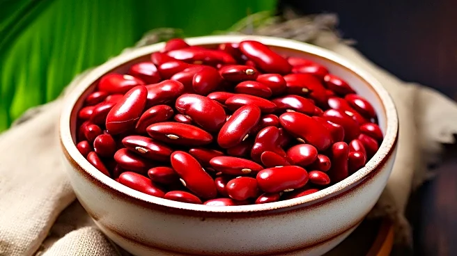 Dietitians Highlight Beans as Affordable Superfood with Health Benefits