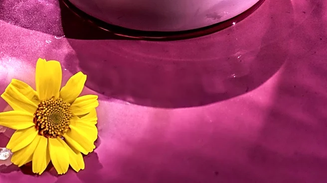 d’Alba Piedmont’s Skincare Duo Gains Popularity with Major Discount