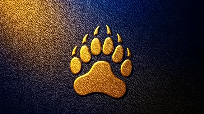 Tosh Lupoi Era Begins at Cal with High Energy and Optimism