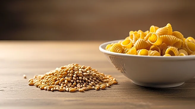 Pasta Manufacturers Innovate with High-Protein Offerings to Meet Consumer Demand