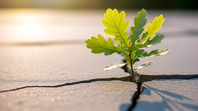 Ohio State Coach Jake Diebler Emphasizes Growth and Resilience After Loss to TCU