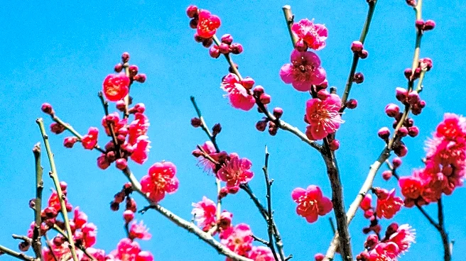 Spring Equinox Brings Renewal and Balance, Influencing Zodiac Signs