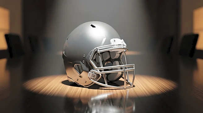 NFL Owners to Vote on Mark Davis' Succession Plan for Raiders Ownership