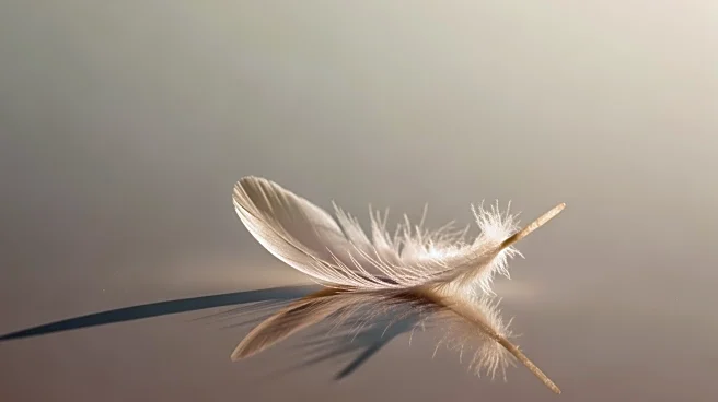 Nicholas Hoult's Wife, Bryana Holly, Addresses Body-Shaming Criticism