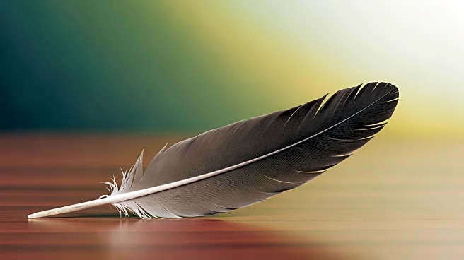 Hollywood Brown Praises Philadelphia Eagles' Culture After Joining from Chiefs