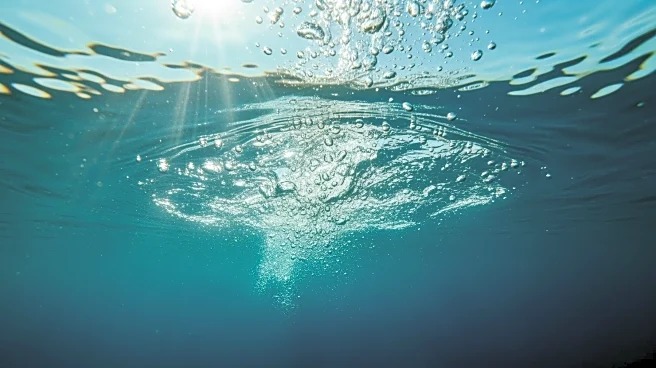 Anna Moesch Secures First NCAA Title, Boosts Virginia's Lead at Swimming Championships