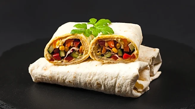 CBS News Detroit Highlights Local Eatery My Big Fat Shawarma in Foodie Friday Segment