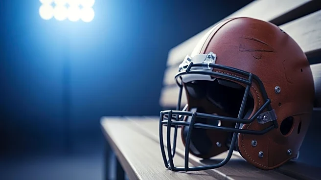 Vikings Sign Ryan Van Demark to Bolster Offensive Line Depth