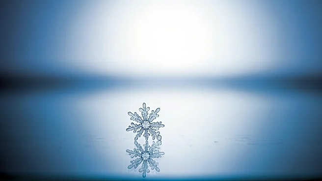 Snowflake Implements Targeted Layoffs Amid Strategic Shift