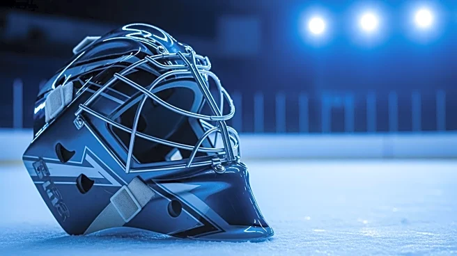 Mammoth's Vitek Vanecek: Decent Performance Despite Loss to Ducks