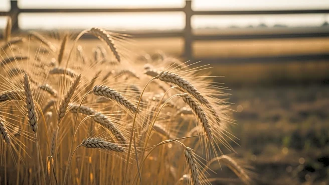 Delaware Agriculture Faces Financial Strain Amid Rising Costs and Market Uncertainty