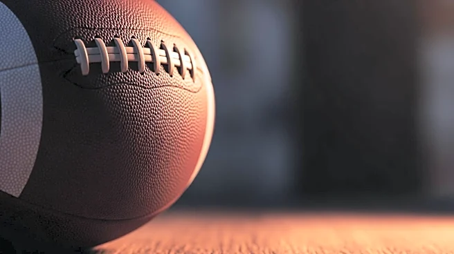 Giants' Cam Skattebo Faces Backlash Over Comments on CTE