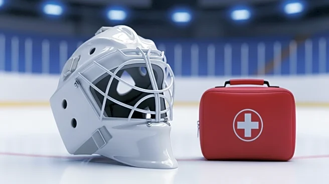 Maple Leafs' Goalie Anthony Stolarz Injured During Warmups, Hospitalized