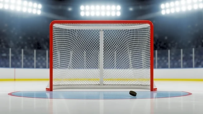 Mikael Granlund Scores Empty-Net Goal in Ducks' Victory