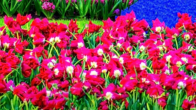 Spring Temperatures Delight Visitors at St. Paul's Como Conservatory