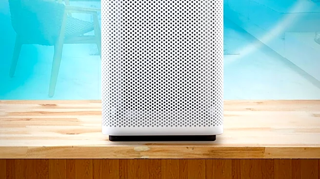 Blueair Offers Discount on Popular Air Purifier Amid Allergy Season