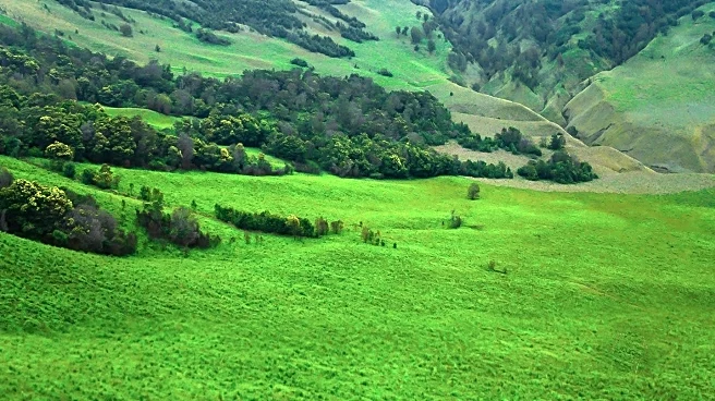 Murphys Irish Day Celebration Brings Irish Heritage to Sierra Foothills