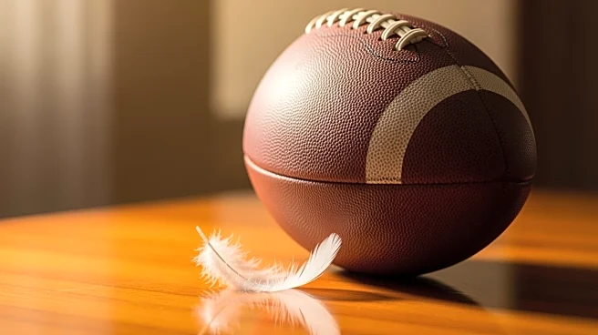 Giants Running Back Cam Skattebo Apologizes for Remarks on CTE and Asthma