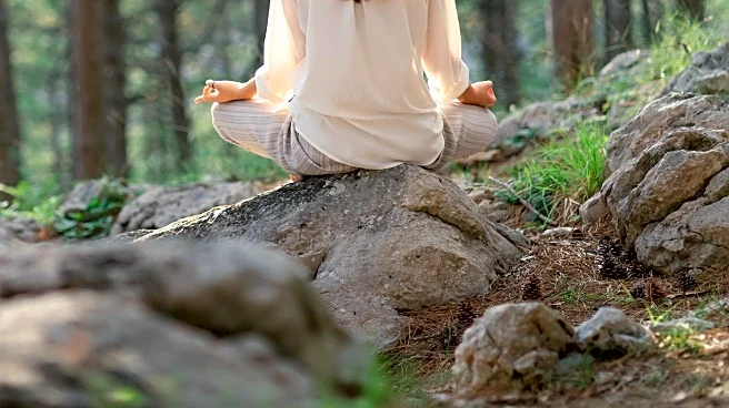 Forest Bathing Offers Respite from Chaotic News Cycle in Raleigh