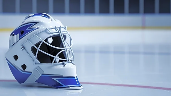 Maple Leafs Goalie Anthony Stolarz Released from Hospital After Injury