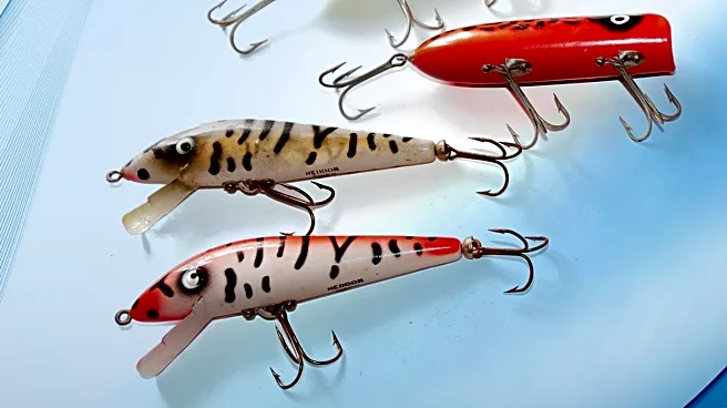 The Coike Lure Revolutionizes Bass Fishing in the U.S.