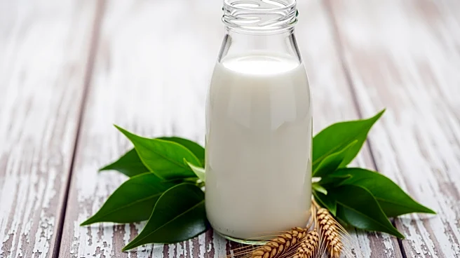 Organic Valley Launches Protein-Focused Milk with Enhanced Nutritional Profile