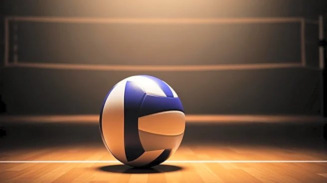 Marco Budzak Emerges as Key Player for Oak Lawn Volleyball Team