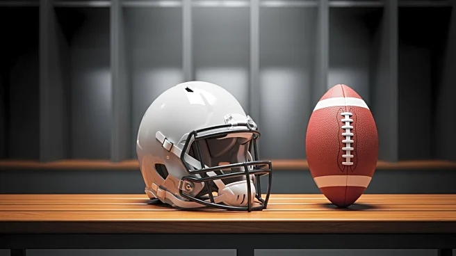 New England Patriots Release Joshua Dobbs, Promote Tommy DeVito to Backup QB