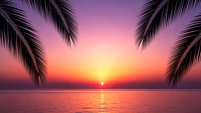 Real Housewives of Miami Faces Indefinite Pause, Impacting Latino Representation on Bravo