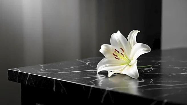 OnlyFans Owner Leo Radvinsky Passes Away at 43 After Battle with Cancer