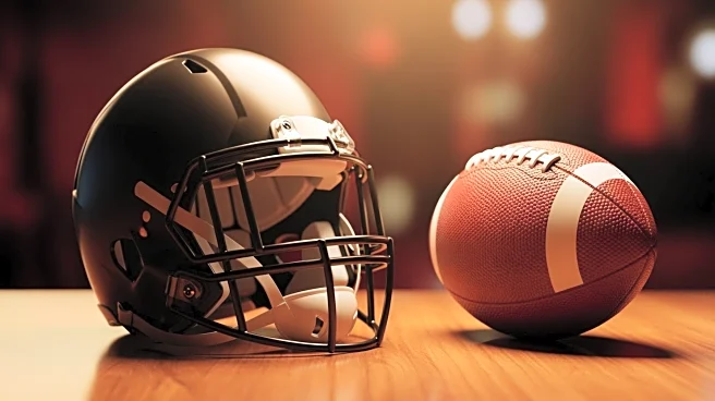 San Francisco 49ers' Acquisition of Mike Evans Sparks Super Bowl Hopes