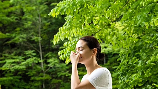Increasing Popularity of 'Forest Bathing' as a Stress-Reduction Practice