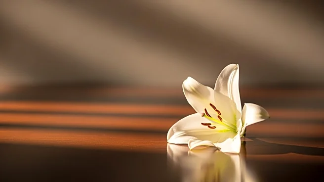 Carrie Anne Fleming, 'Supernatural' Actress, Passes Away at 51 After Cancer Battle