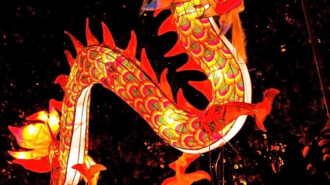 Brookfield Zoo Launches 'Glow Wild' Lantern Festival and Dinosaur Exhibit for Spring
