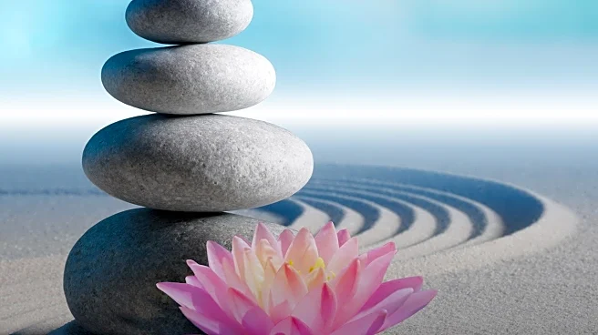 TRE Therapy Utilizes Body's Natural Response to Alleviate Stress and Trauma