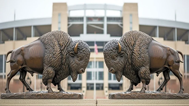 Buffalo Bills Reveal Bison Statues as Part of New Highmark Stadium's Family Circle