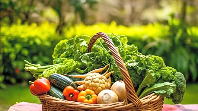 Food Tank Highlights Books on Sustainable Food and Agriculture