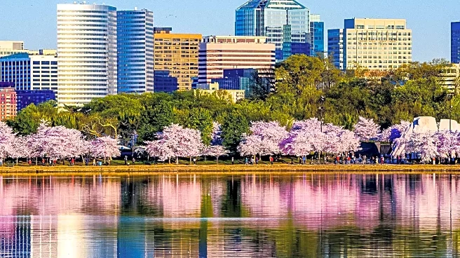 Family-Friendly Live Music Options in Washington D.C. Explored