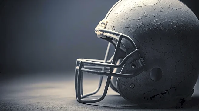 NFL Star Puka Nacua Faces New Lawsuit Over Alleged Assault Incident